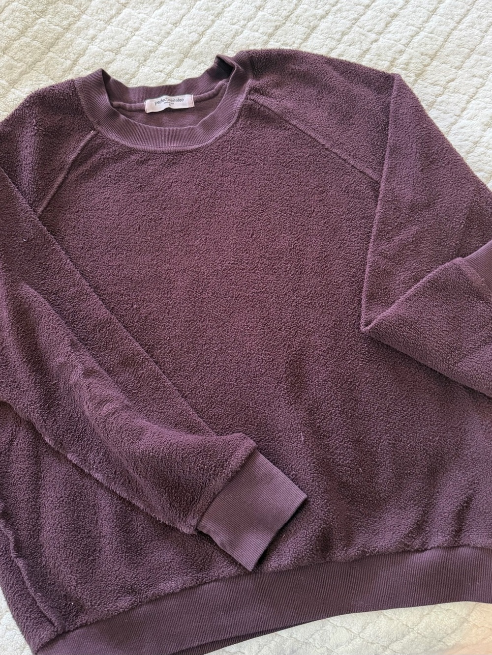 perfectwhitetee Plush Crewneck Sweatshirt in Plum